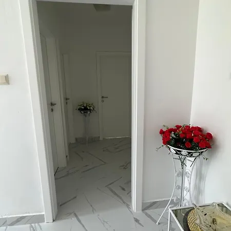 Apartmani Aron Novalja Exterior photo