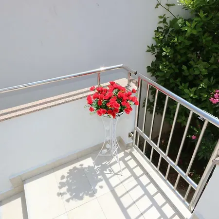 Apartmani Aron Novalja Exterior photo